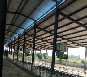 冷探花在线播放安装现场 