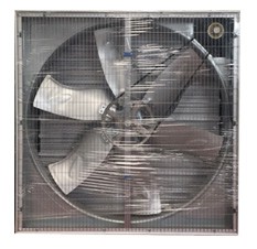 重锤式探花在线播放