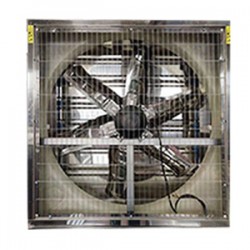 直联探花在线播放